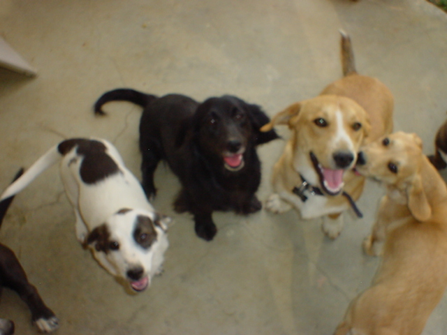 Groups photo, including the mom and potentially the dad